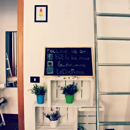Le Due Musce Apartment Lecce